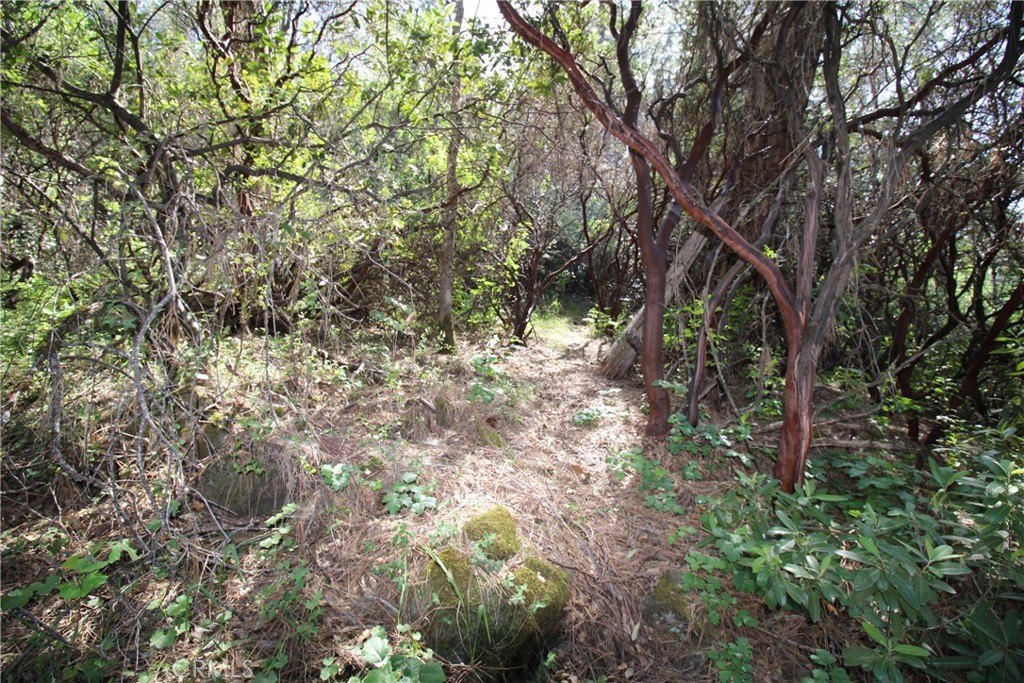 Picture 22