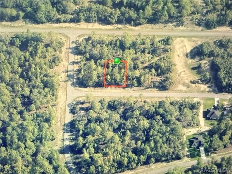 LAND - Citrus Springs, FL