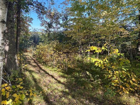 Land, McGregor, MN