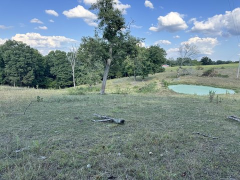 Ozark, MO Land with Pond