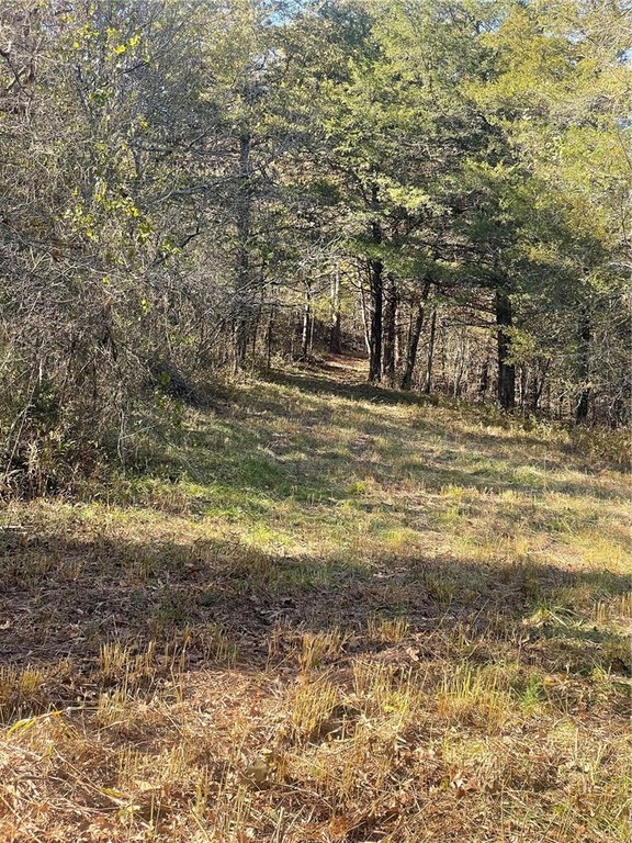 Picture 18