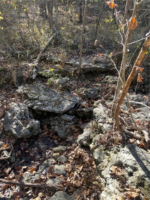 Picture 10