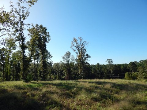 Vacant Land with Water Views