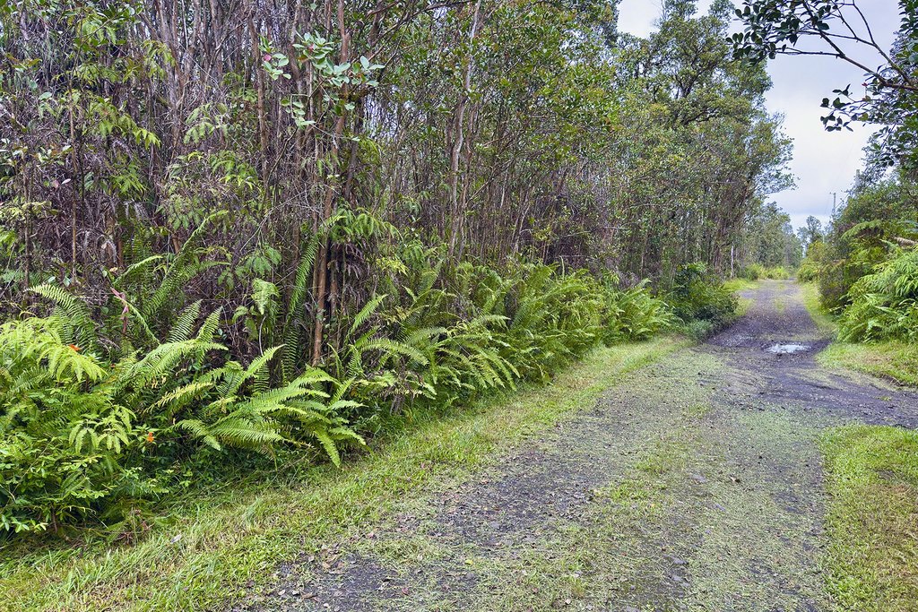 Picture 22