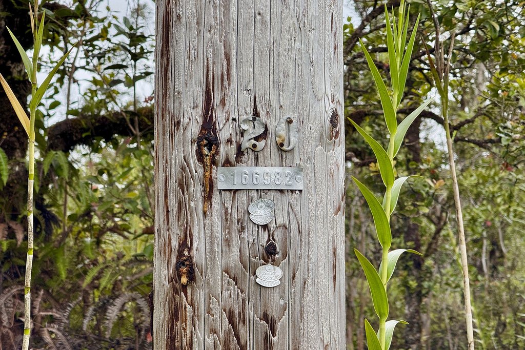 Picture 19