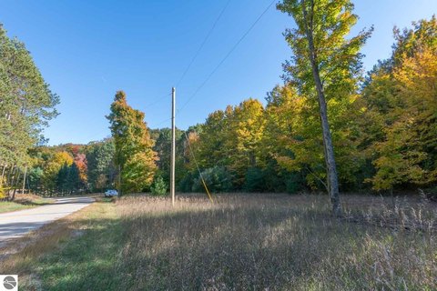 CEDAR, MI