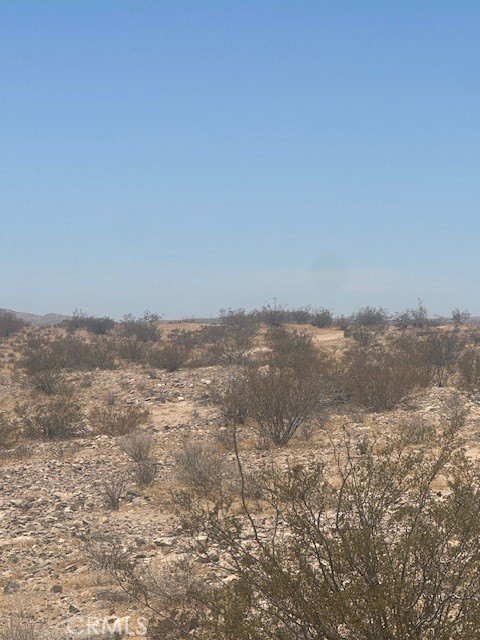 Picture 3
