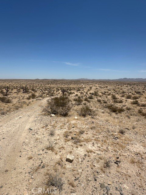Picture 5