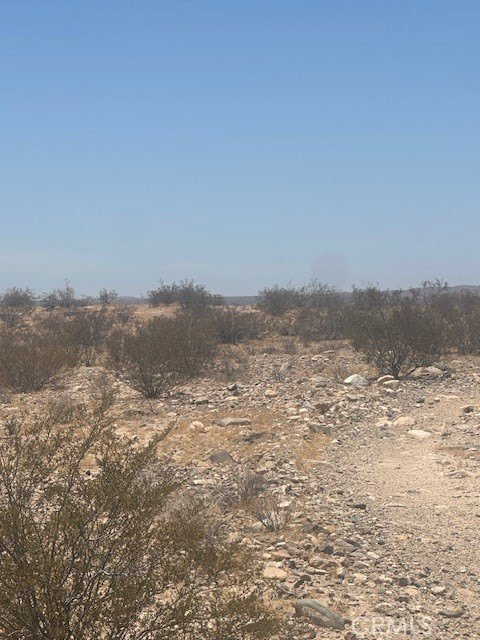 Picture 4