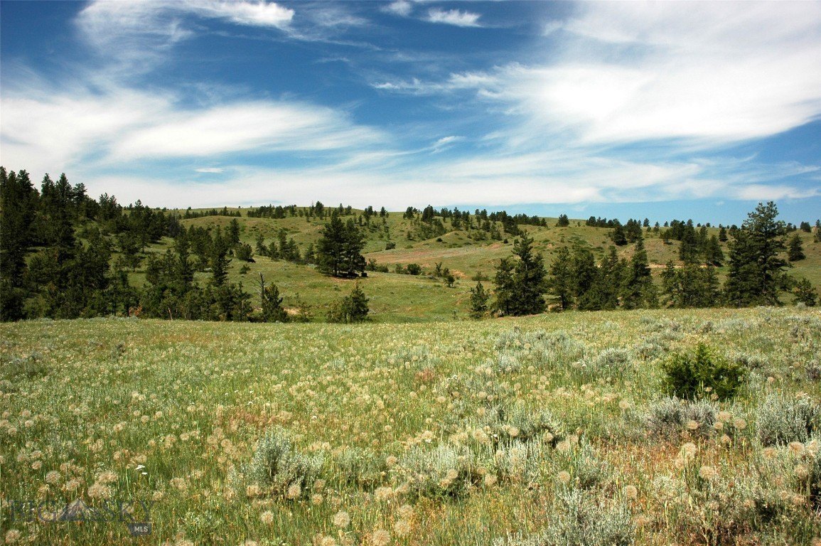 Secluded Montana Land with Wildlife