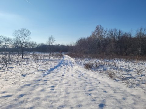26.81 Acres in Alamo Township