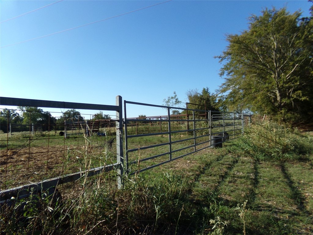 Picture 13