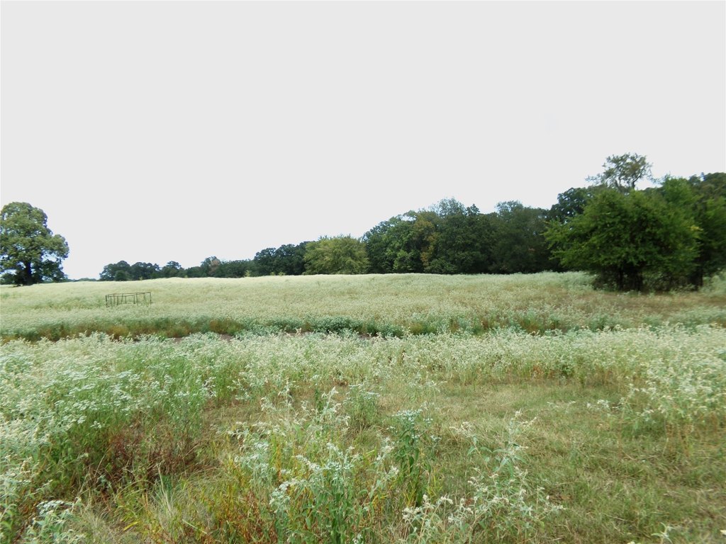 Picture 18