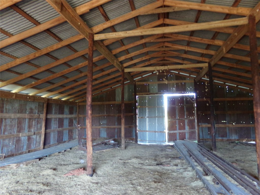 Picture 12