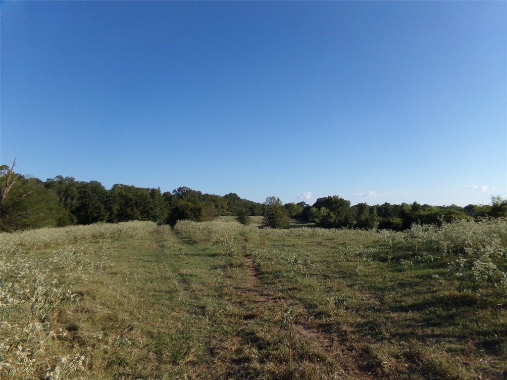 Picture 15