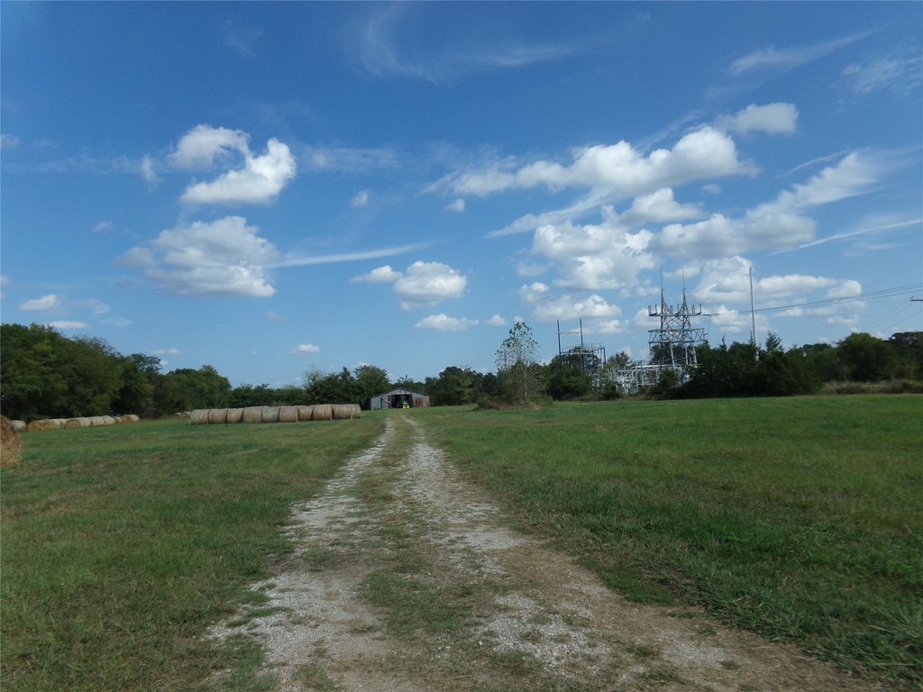 Picture 6