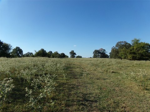 Ranch Acreage with Ponds