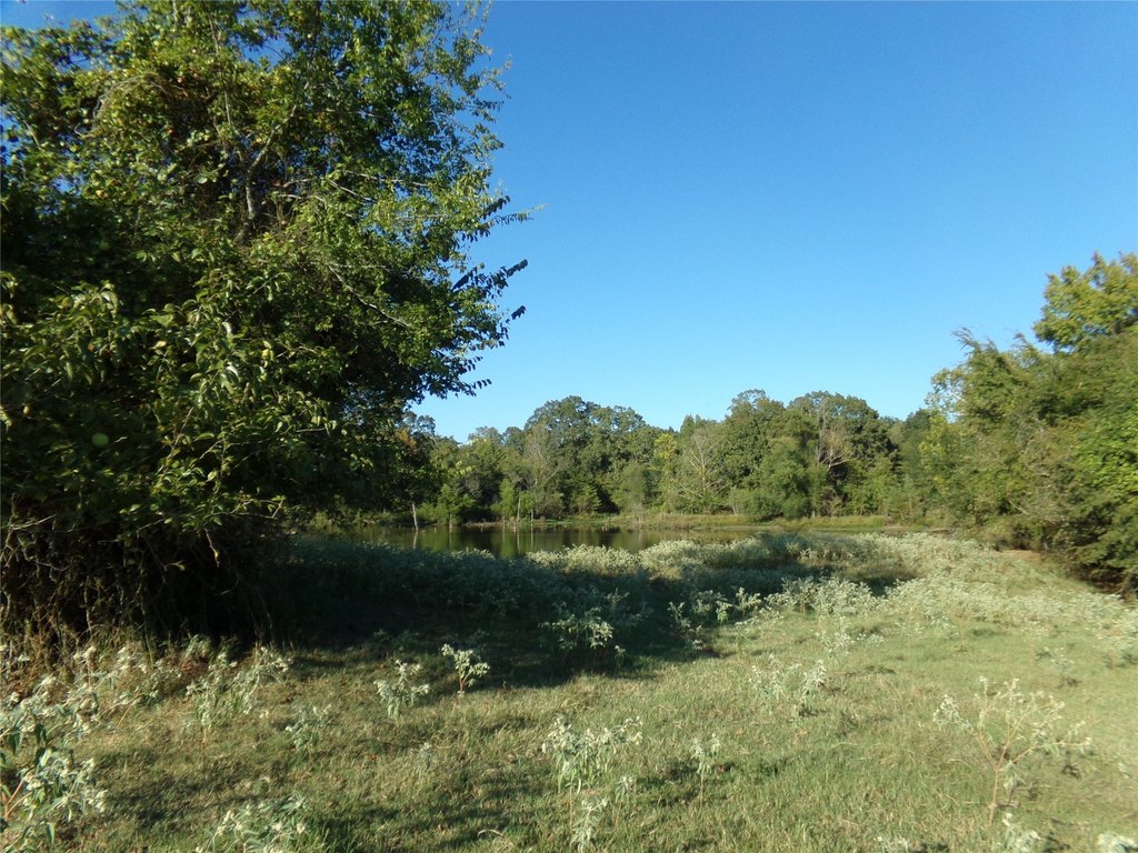 Picture 14