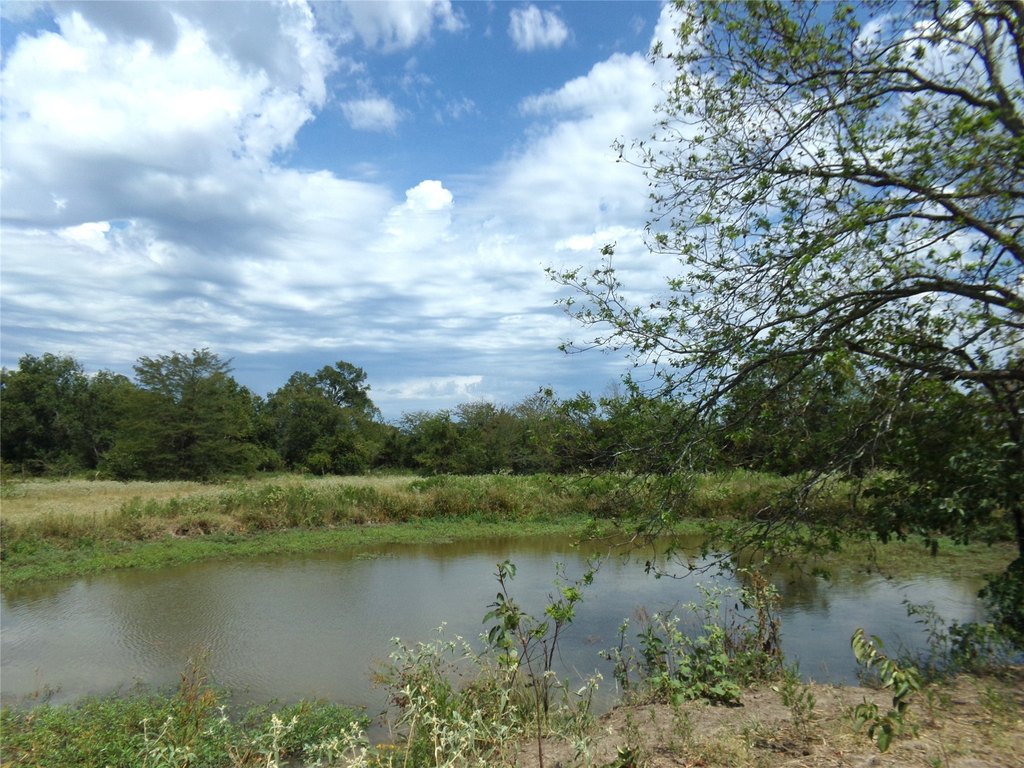 Picture 16