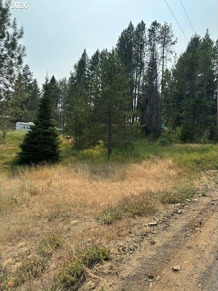 Picture 2