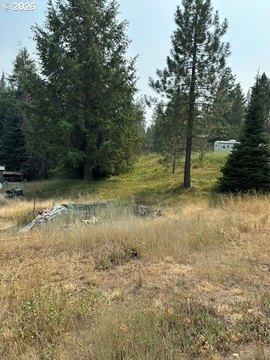LAND - Meacham, OR