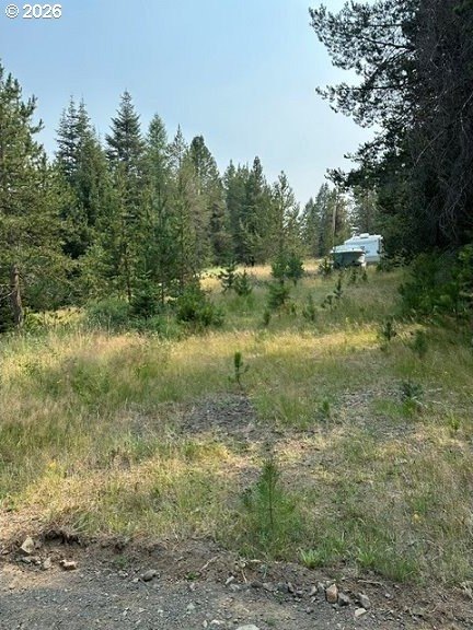 Picture 4