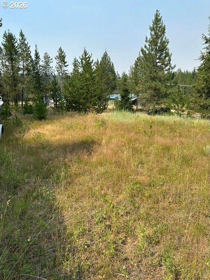 Picture 7