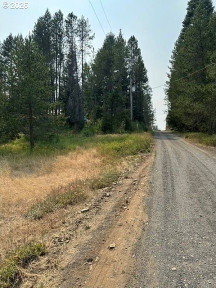 Picture 3