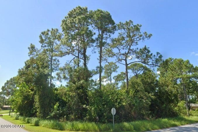 Palm Bay Land For Sale