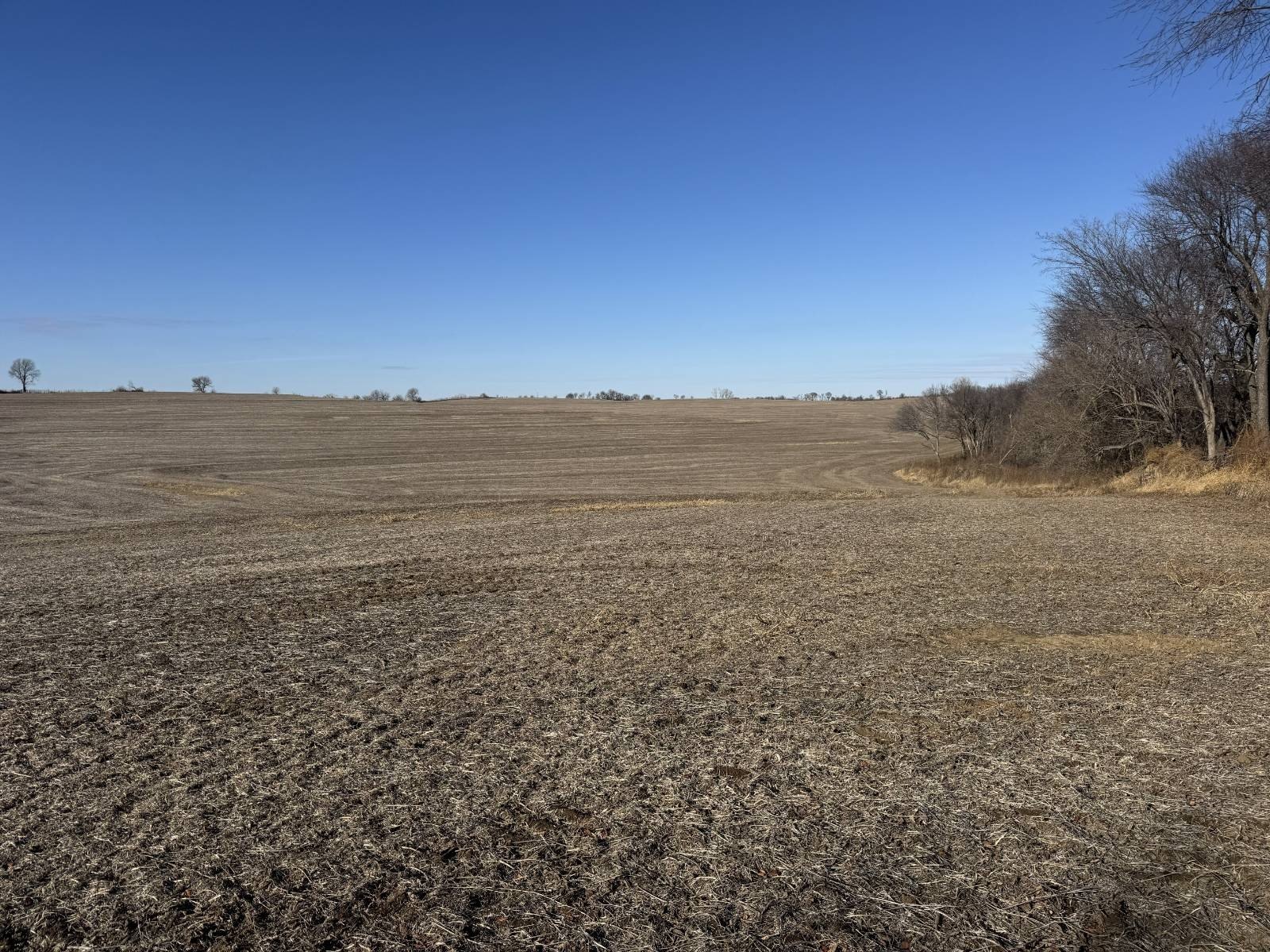 High Yield Farmland Opportunity