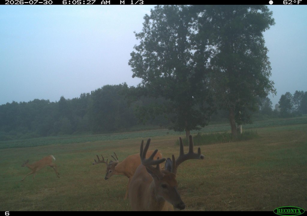 Picture 2