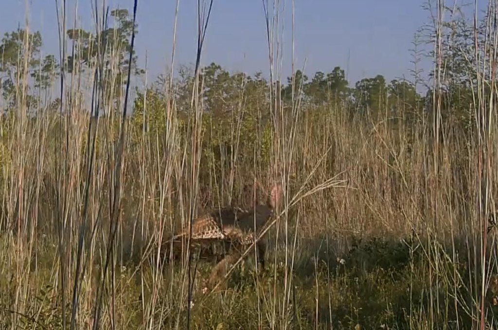 Picture 9
