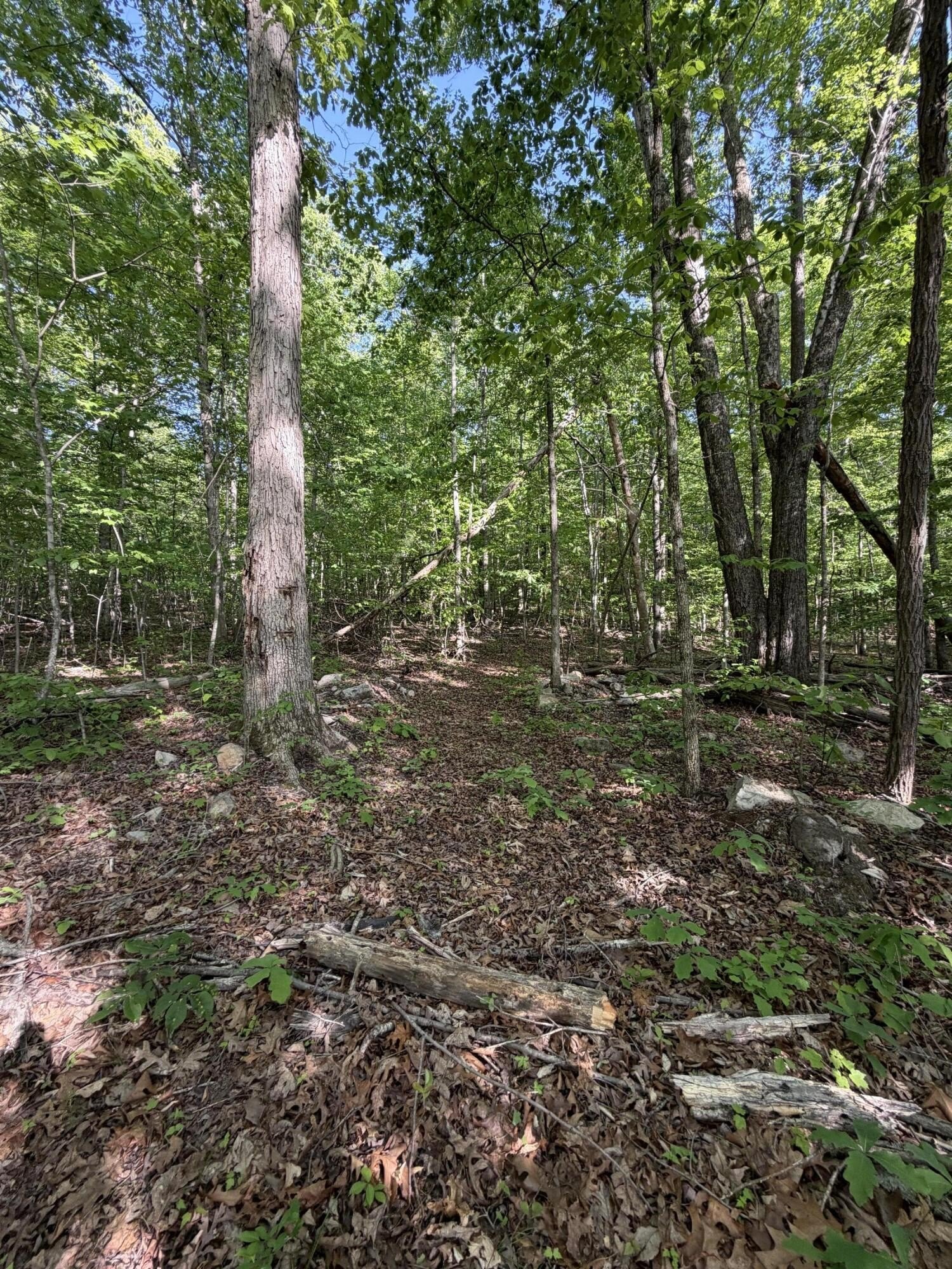 Residential Lot in Newport, TN