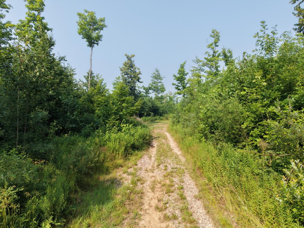 Picture 18