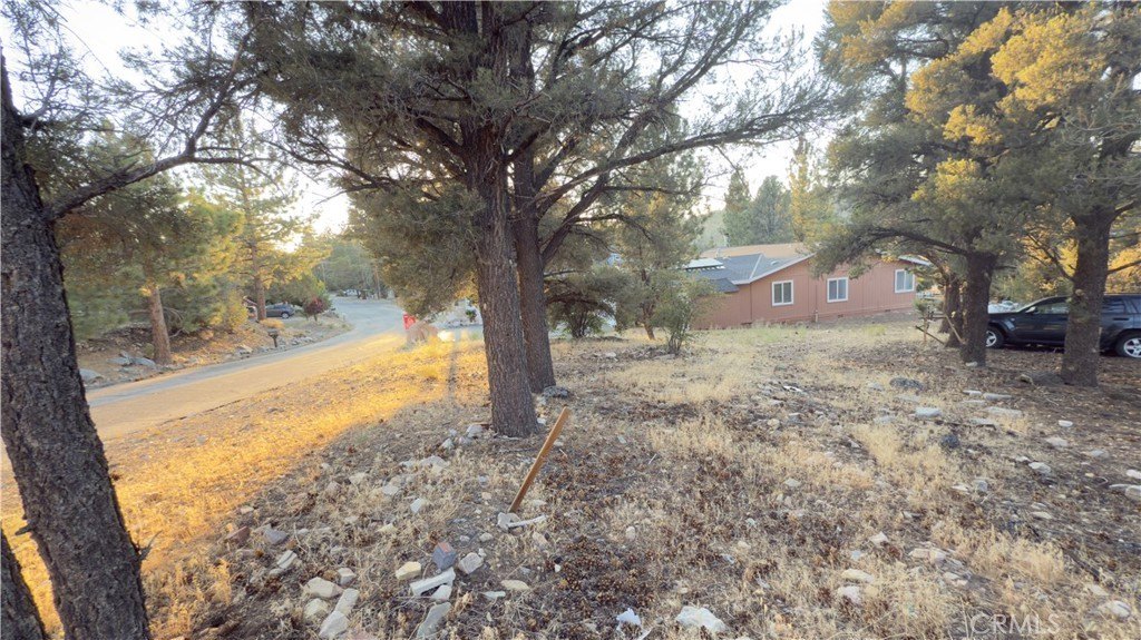 Picture 10