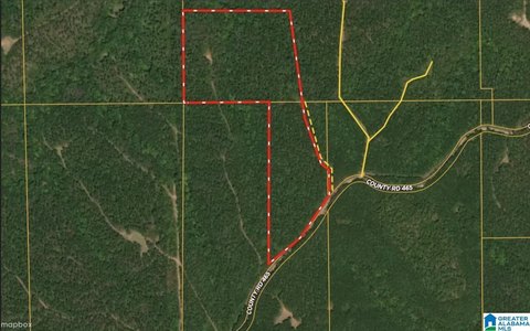 Timber Hunting and Homesite Land