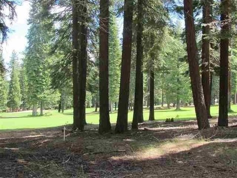Golf Course Lot in Almanor