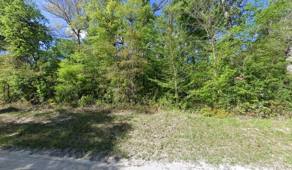 Picture 2
