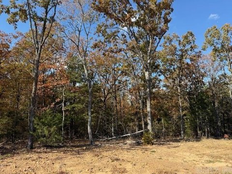 Residential Land in Greenbrier, AR