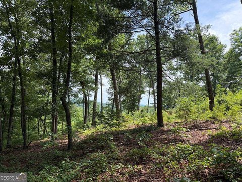 LAND - Ellijay, GA