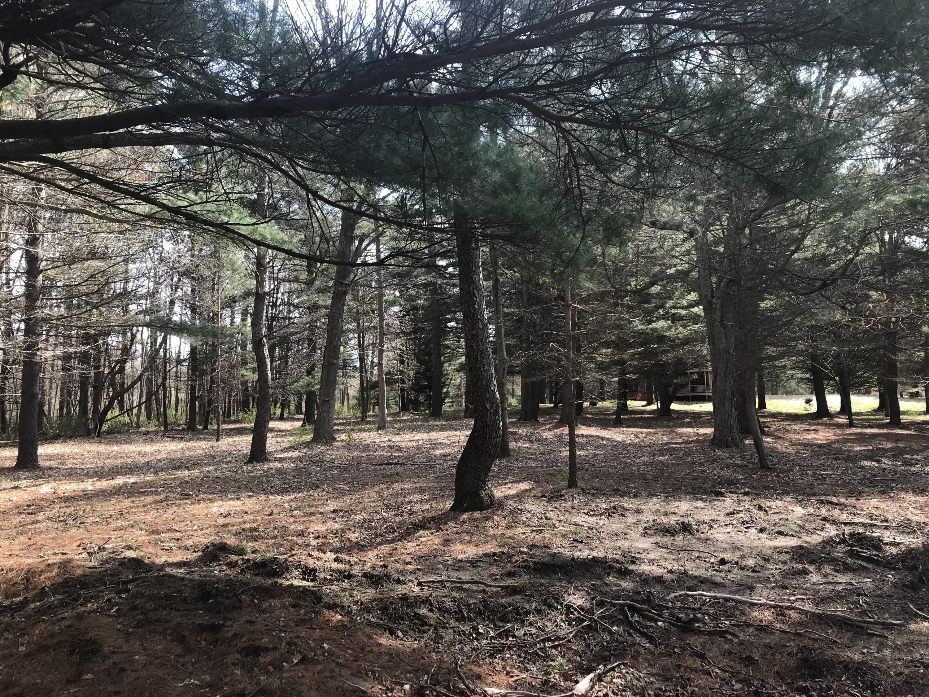 South Haven Land Near Lake