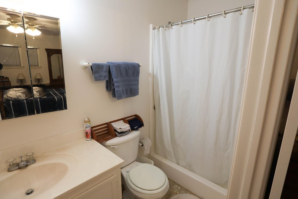 Picture 24