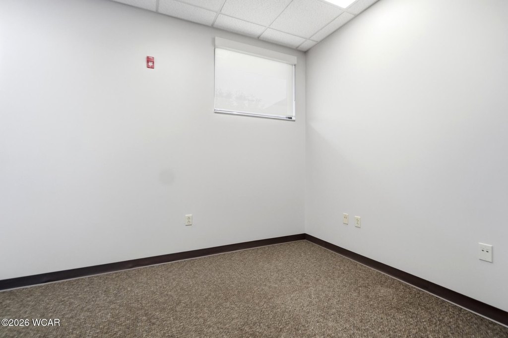 Picture 28