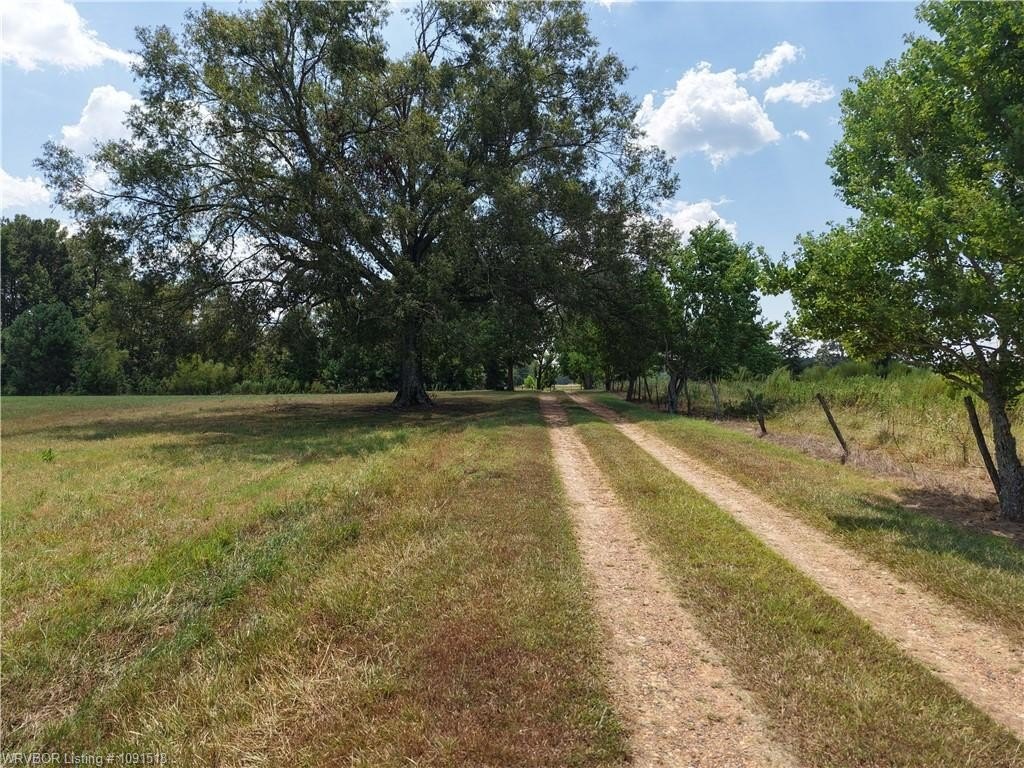 Picture 14