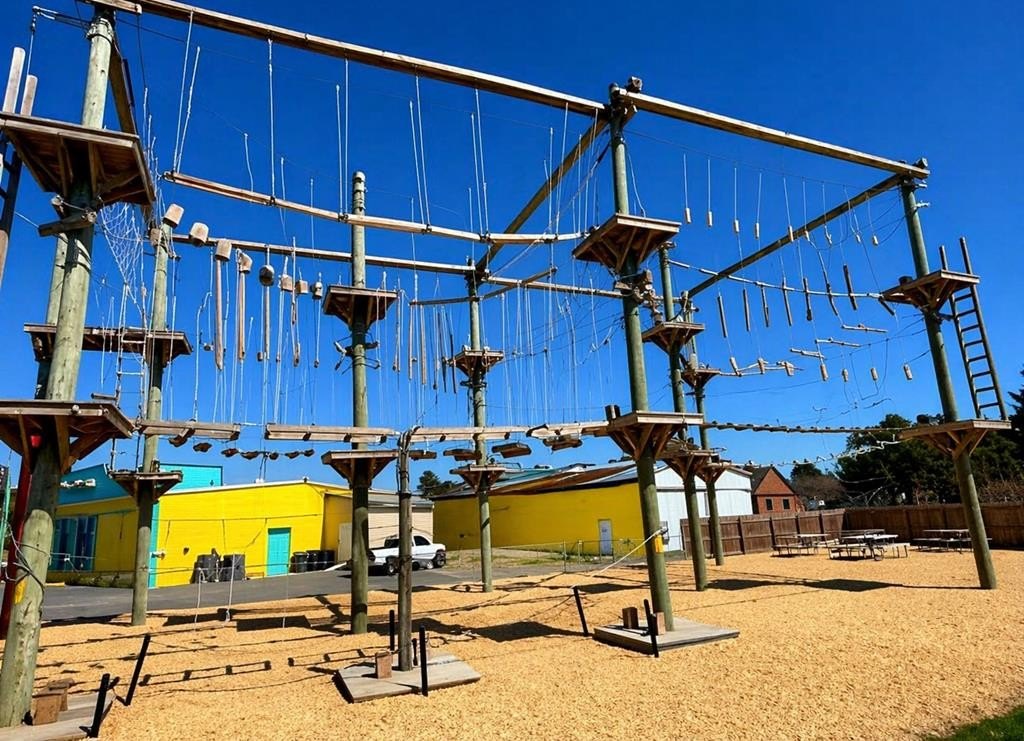 Picture 9