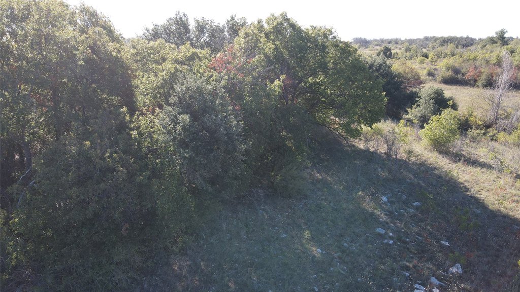 Picture 18