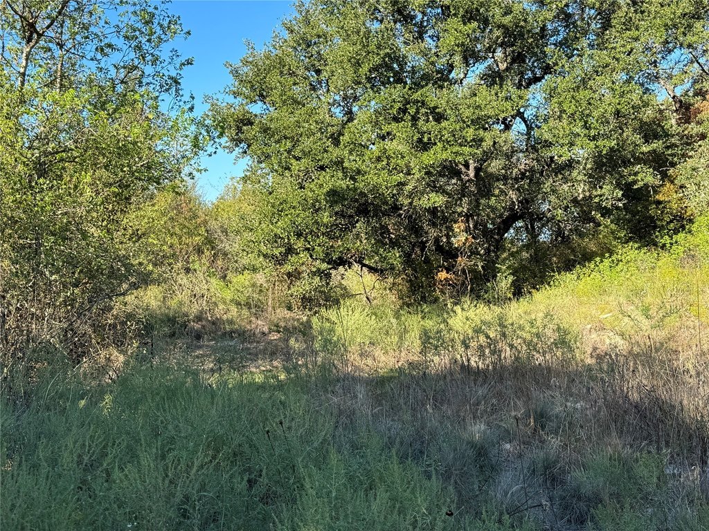 Picture 21