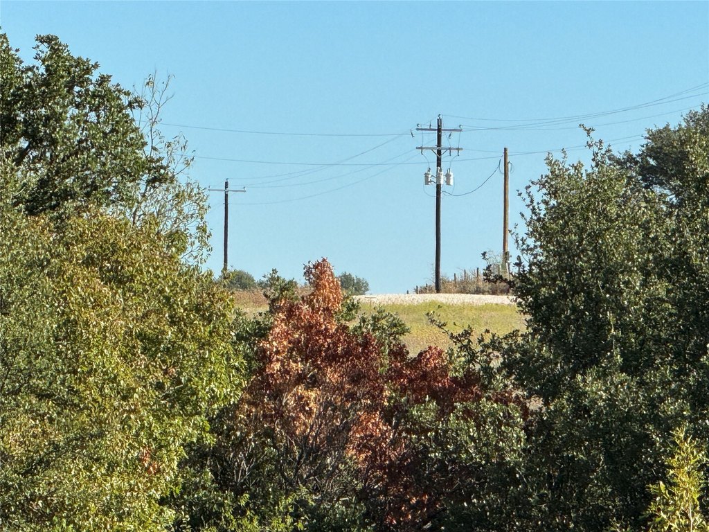 Picture 12