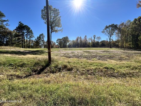 Land Available Near Hernando Square