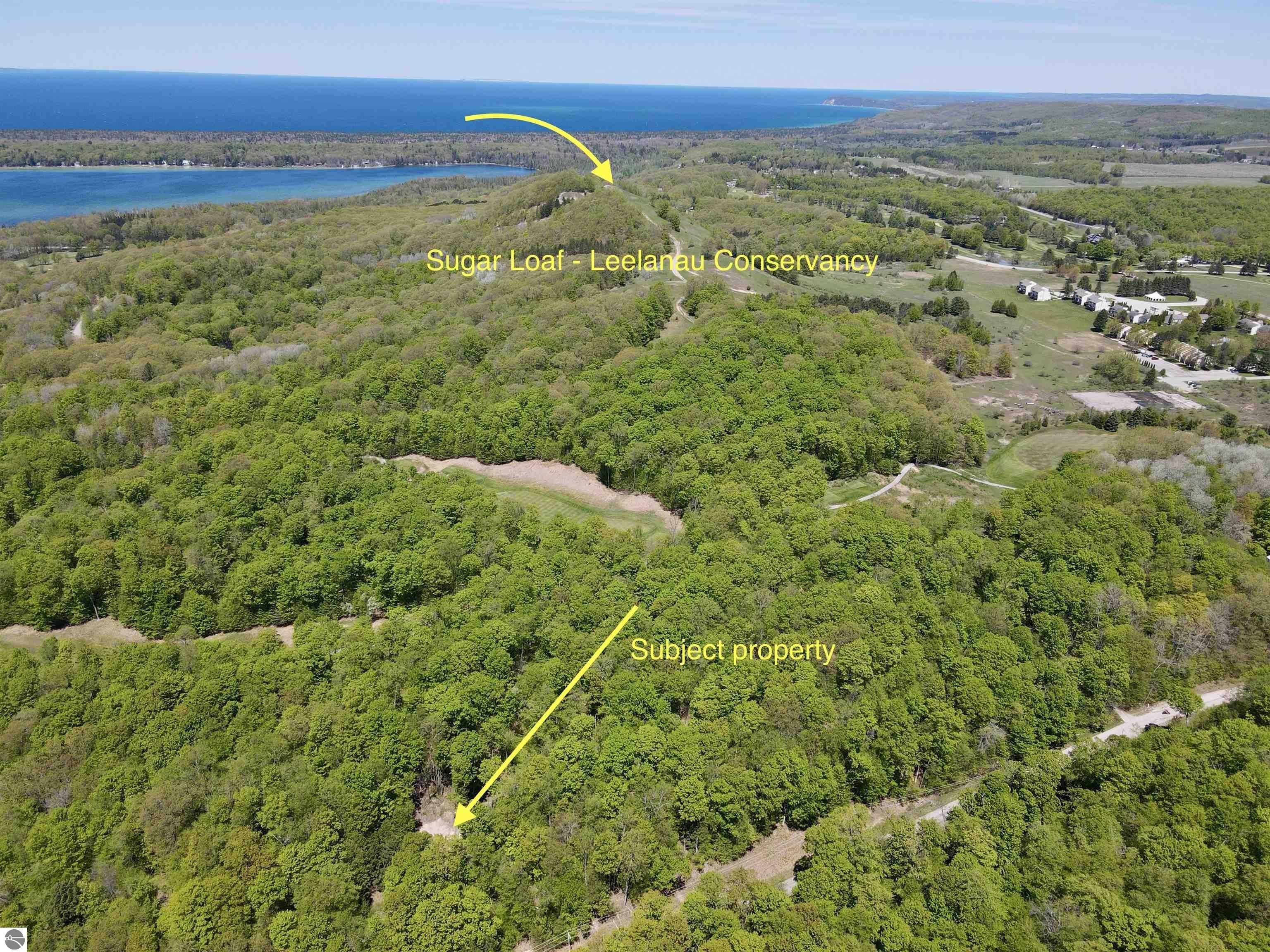 Improved Vacant Land in Cedar, MI